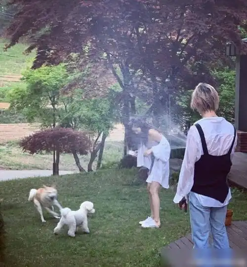 金泫雅洒水嬉戏,衣服缩水之后,意外显露真实身材