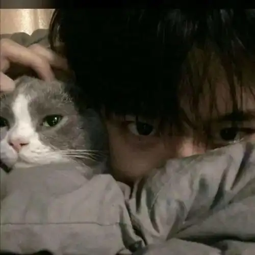 头像优质真人男生女生卡通头像