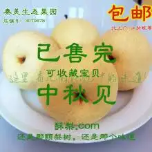 2019酥梨价格行情批发多少钱酥梨图片第44页黄页88水果批发网