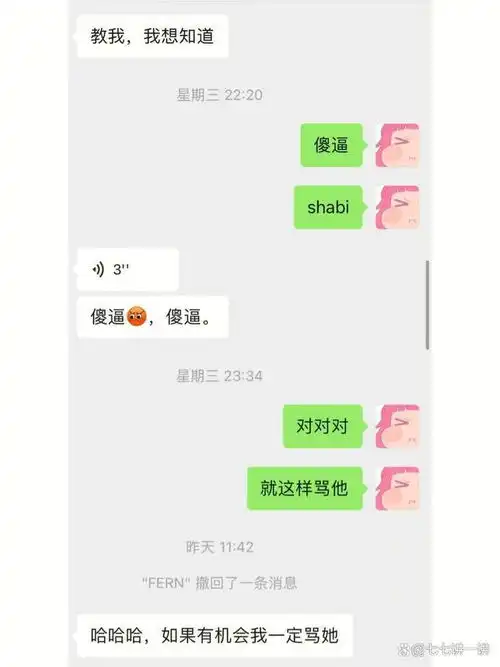 中国女子在泰国遇害长相身份曝光,聊天记录流出,亲人讲内幕