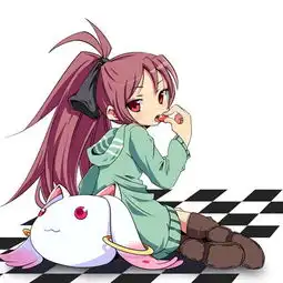 魔法少女小圆...佐仓杏子