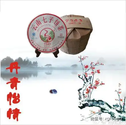 一盏清茶不惊艳时光,只温柔岁月