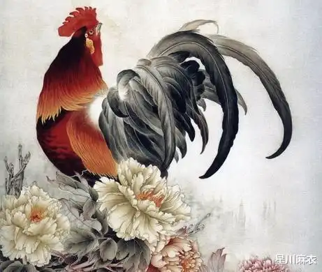 5月人气当红不让,会有好运临门的生肖,看你会在哪方面找到方向