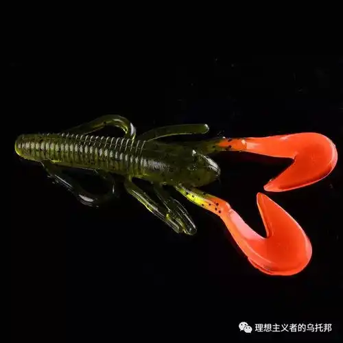 路亚知识大杂烩,可能是有史以来总结概括最全面的一次