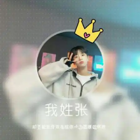 男生姓氏头像,圆形边框加上皇冠加上我姓什么