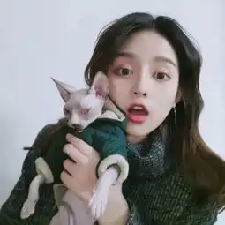 微信聊天气泡终于来啦自带特效让你瞬间个性十足