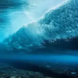 虐狗清洁工辞职周游世界美女相伴靠秀恩爱年入百万