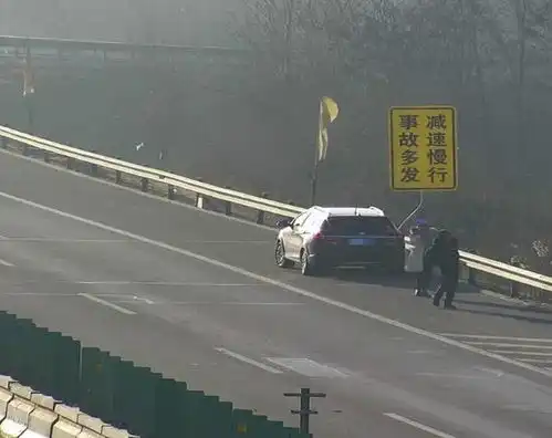 太奇葩女子向交警做不雅动作,引路人围观网友丢人现眼