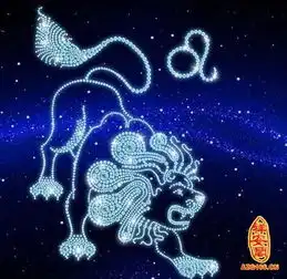 适合狮子座的微信头像