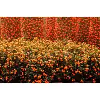 价格厂家中国供应商