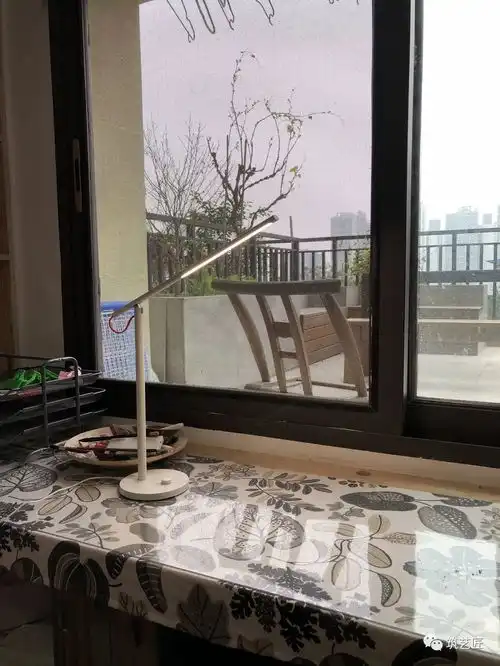 丁方树叶之家愿你出走半生,归来仍是少年