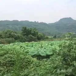 电话,地址,价格,营业时间