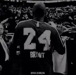 求百度贴吧科比吧的头像,就是这张黑色的