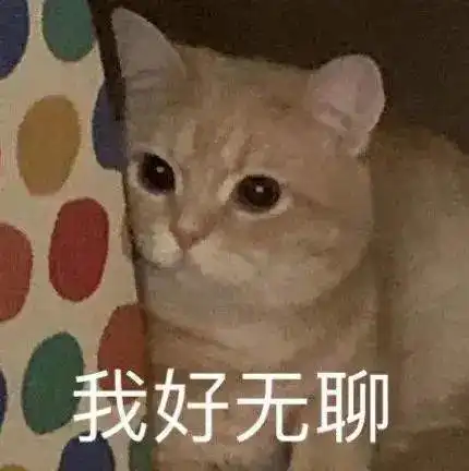 表情包猫狗鸭仓鼠动物沙雕系列