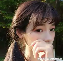 要吵就吵最激烈的架,争执一定要占上风的星座