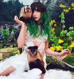 一组美女与野兽,挽救了动物们的生命