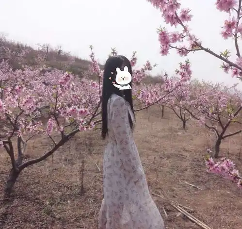 你见过哪些惊为天人的美女图片