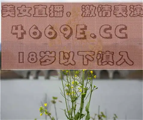 为什么我刷抖音快手微视的时候看见美女卖萌跳舞之类的都直接划,只看搞笑沙雕的