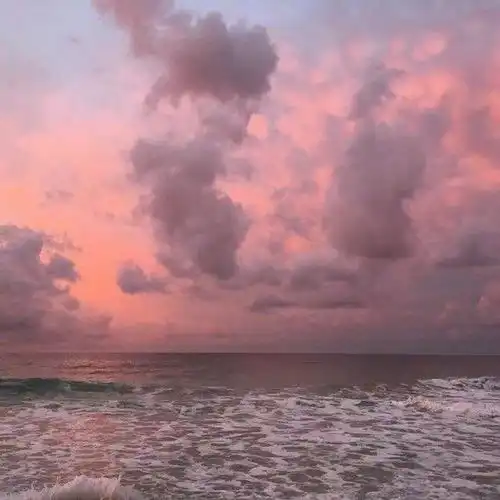 集智慧和美貌于一身的星座