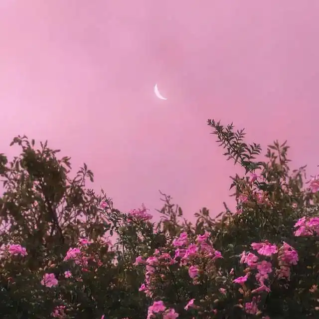 余生漫漫,别着急,淡然地活