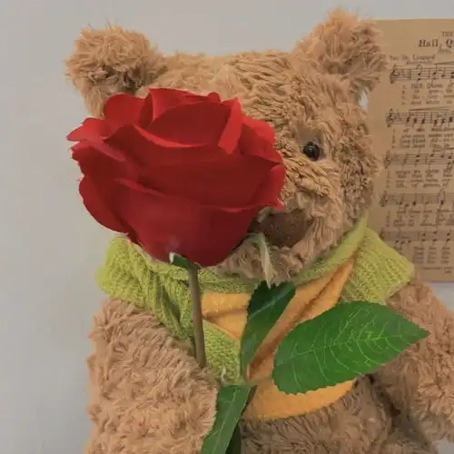 女生头像手捧花好事