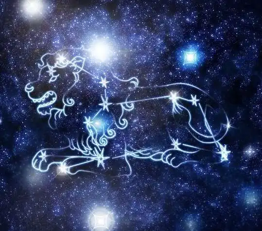 恋爱中时刻告诉另一半自己活着的星座
