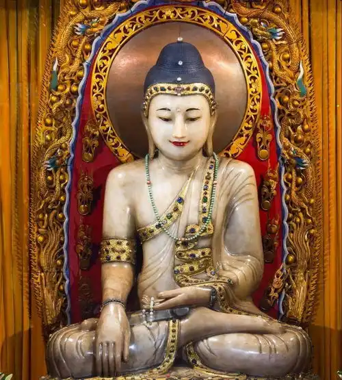 恭迎释迦牟尼佛圣诞丨浴佛净自心念佛报佛恩