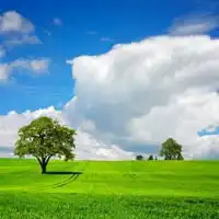 微信头像风景图片大全蓝天白云绿草地