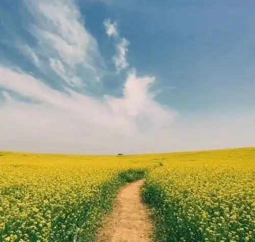 每年300多万人因它死亡,这个坏习惯几乎人人都有