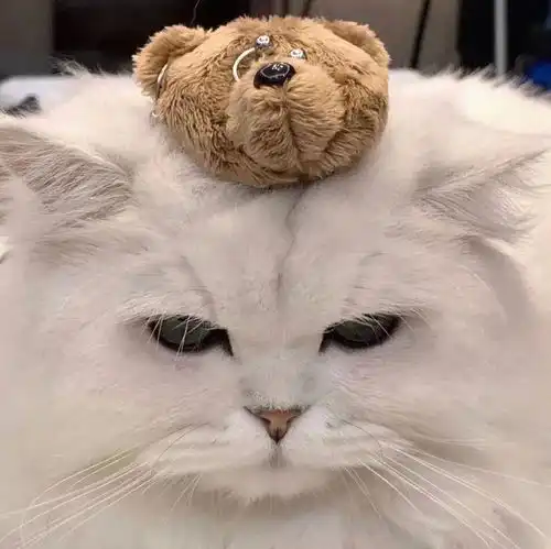 超可爱的沙雕头像