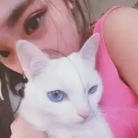 美女淑女头像图片大全猫