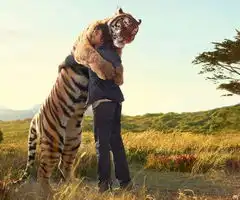 我潜水期间收藏的图片