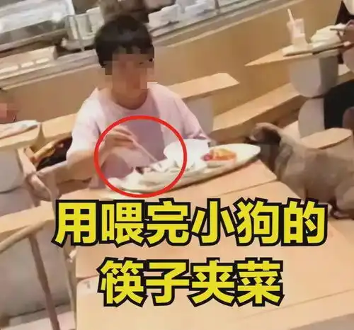 头像女生宠物餐具