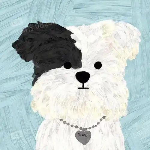 男生讨厌你,为什么还要一直频繁的去各种渠道打听你