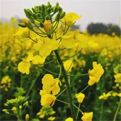 荐读人到中年,越过越顺的生活玄学