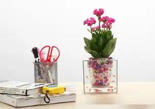 美好生活感悟亲手养育绿植