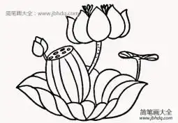 计算机画图怎么画荷花图片简笔画,画荷花最简单的画法荷花画图片简单画法...