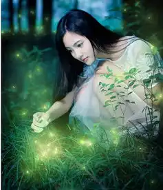 求萤火虫图片,越多越好