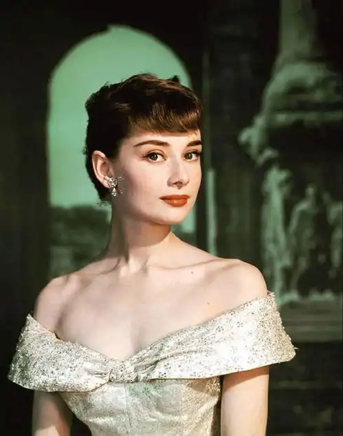 1993年,奥黛丽赫本身患癌症,弥留之际对纪梵希说了一句话