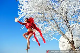 钢管舞美女身着红装雾凇下大秀舞姿
