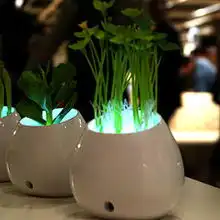 茜茜创意生活杂志