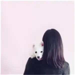 超漂亮的女生头像动画凄