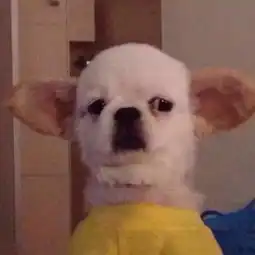 欧美情头幸好思念无声,怕你震耳欲聋