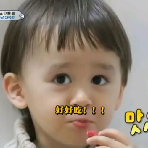 本特利表情包第一弹