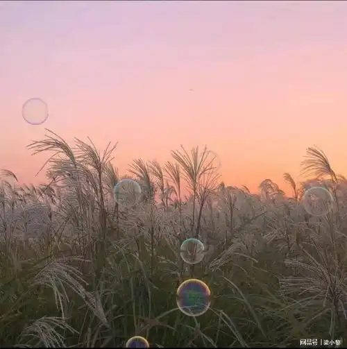 忽今夏作为女性先要争取经济独立,然后才有资格谈到争取什么