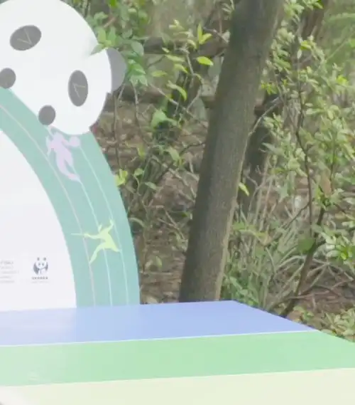 哦老夫的少女心可怜