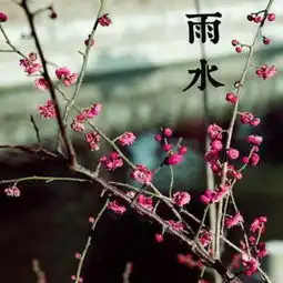 唯美图片大全唯美意境图片带文字唯美的图片女生腾牛个性网
