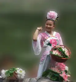 微信头像荷花女孩女生