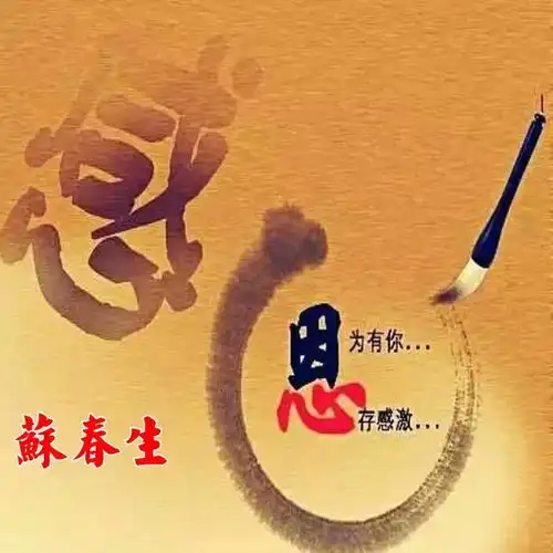 姓氏微信头像感恩有你心存感激,喜欢请带走