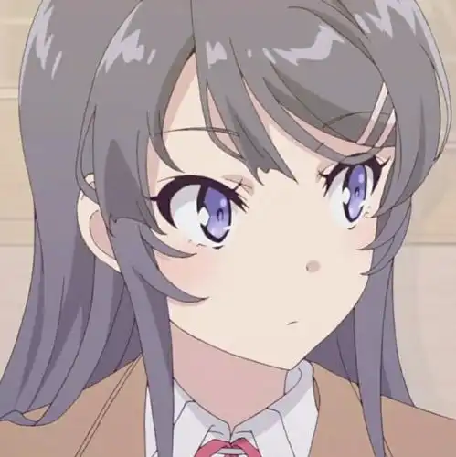 青猪第四卷青春猪头少年不会梦到恋姊偶像妹15